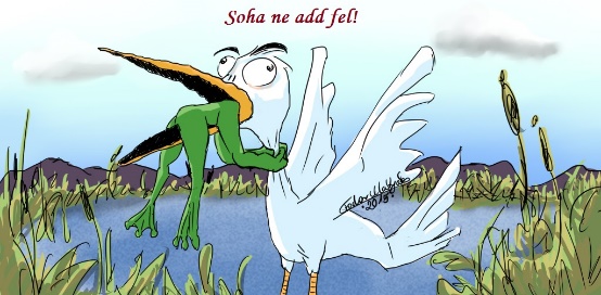 A kép eltávolítva.