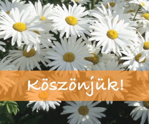 köszönjük